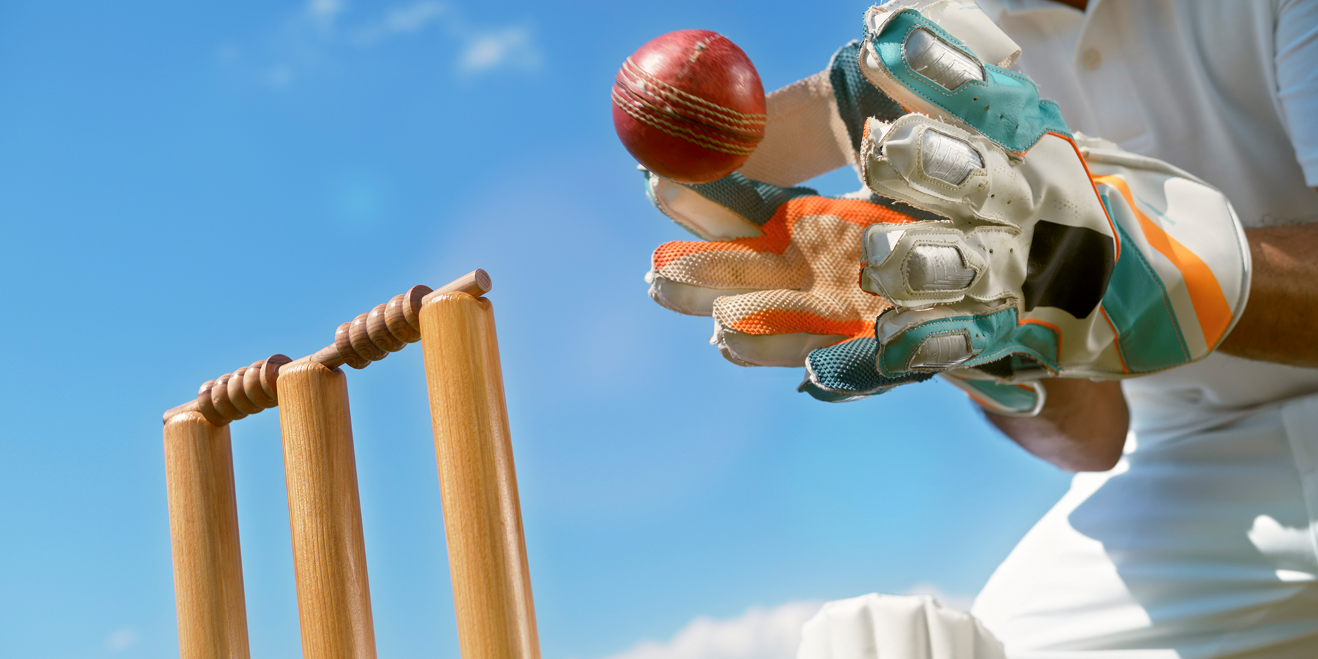 Newsletter 009 – Article 01